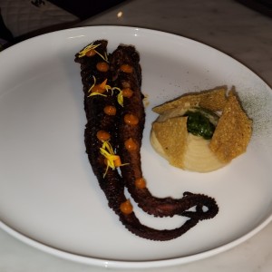 Pulpo de Mediterraneo