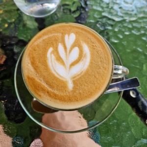 cappucino