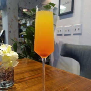 Mimosa