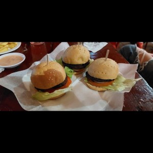 Hamburguesa de Pollo con Papas Fritas
