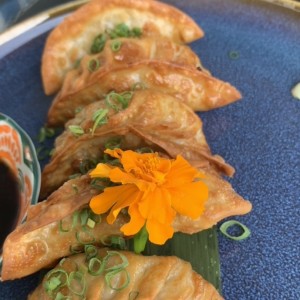 Gyozas