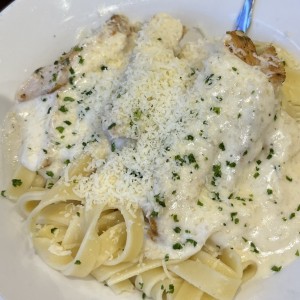 Amazing Alfredos - Chicken Alfredo