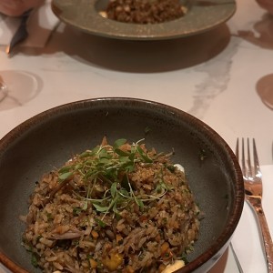 Arroz Salteado de Pato