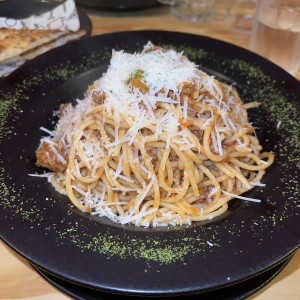 Bolognesa 