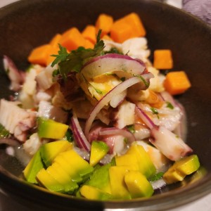 ceviche mix