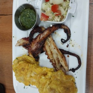 Pulpo con chimichurry