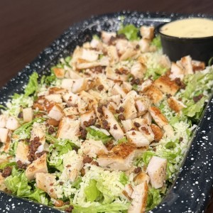 Ensaladas - Caesar Chicken Salad