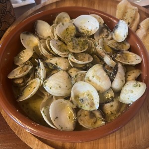 Almejas en salsa blanca