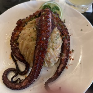 Pulpo corona