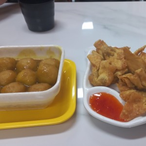 entradas-wanton y bolitas de pescado al curry