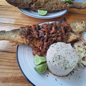 pescado frito machote