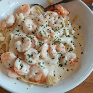 shrimp alfredo