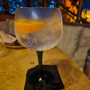 Gin Tonic