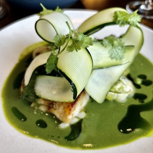 Corvina verde