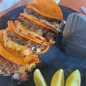 Platillos Fuertes - Tacos