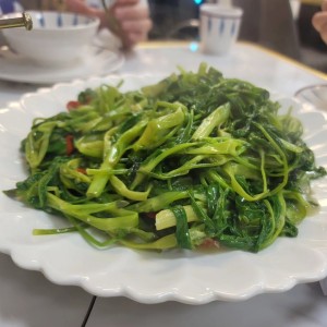 hoja wunchoi