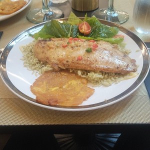 Corvina al ajillo