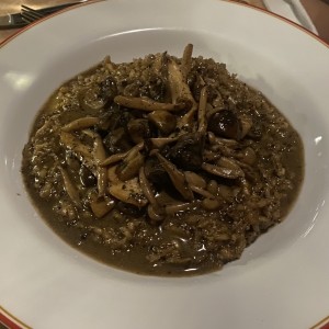 Rissotto di Funghi