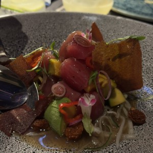 CEVICHE TUNA - MATSURI