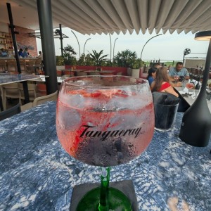 Gintonic 