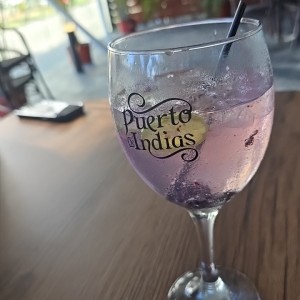 gin tonic