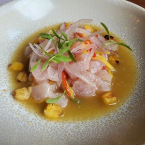 DIARIO - CEVICHE DEL DIA