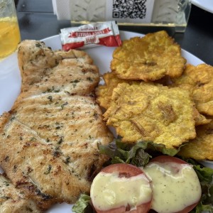 Filete de pollo a la plancha