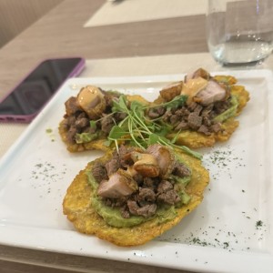 Entradas - Patacones Tierra