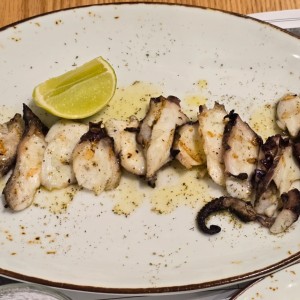 XTAPODI