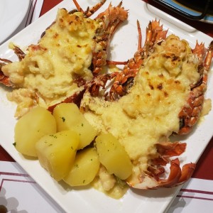 Platos Recomendados - Langostas Gratinadas