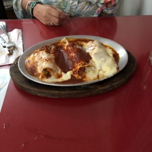 Canelones de jamon con queso en salsa roja