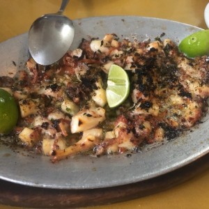 Pulpo