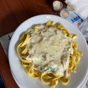 Fettuccini con Pollo Alla Bechamel