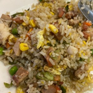 Arroz Frito Especial Young Chow