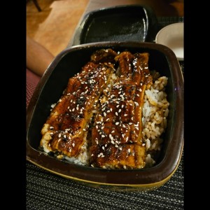 Donburi - Unadon