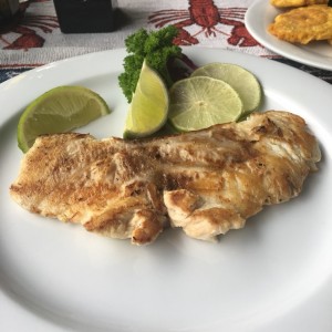 corvina a la plancha