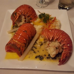 Baby Lobster tail's