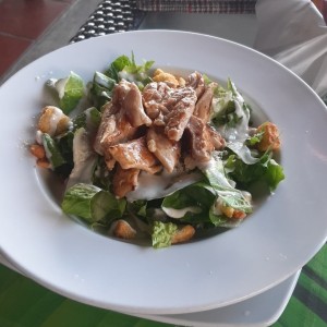 ensalada cesar con pollo