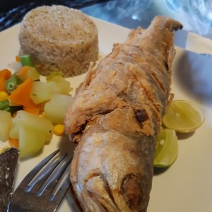 corvina entera frita