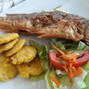 Corvina entera frita