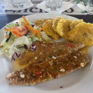 Filete de Corvina Al Ajillo con Patacones  y Ensalada   