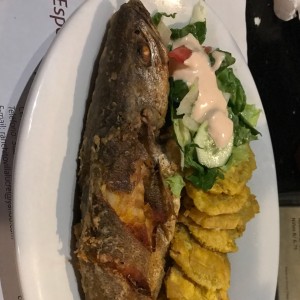 Corvina entera frita con patacones