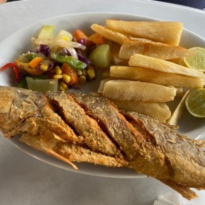 Corvina Entera Frita o en Salsa Criolla