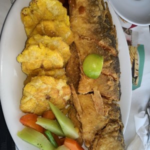 Corvina Frita