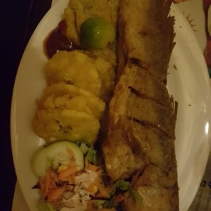 Corvina Entera Frita o en Salsa Criolla