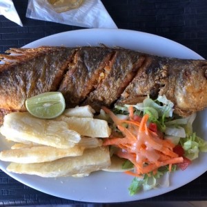 Corvina Entera Frita o en Salsa Criolla