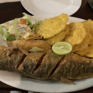 Corvina Entera Frita o en Salsa Criolla