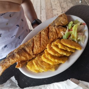 Corvina Entera Frita o en Salsa Criolla