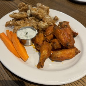 Appetizers - WINGS