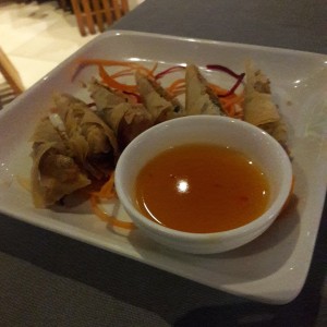 Spring rolls de pollo